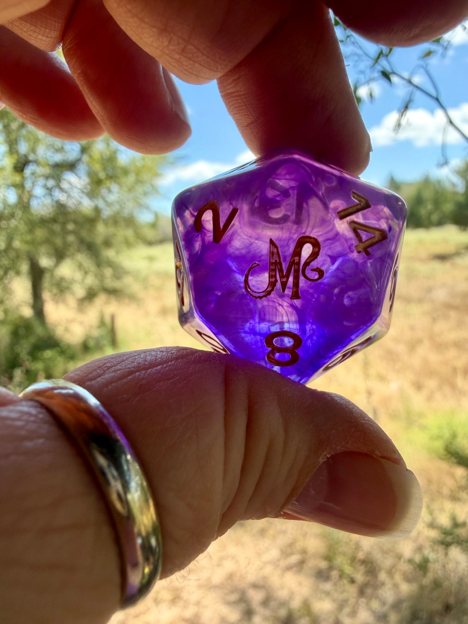 Mythical Meats® Chonky D20 30mm Oversized Die Dice