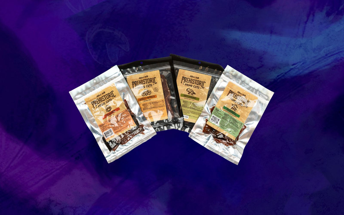 What Is the Healthiest Jerky to Travel With?